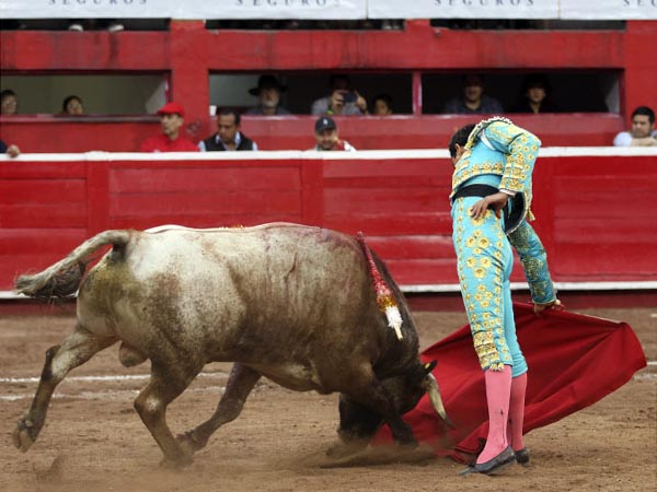 Los belfos en la arena