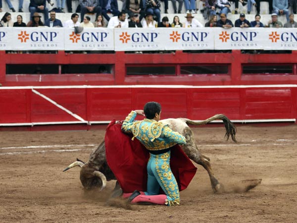 Enormes deseos de agradar