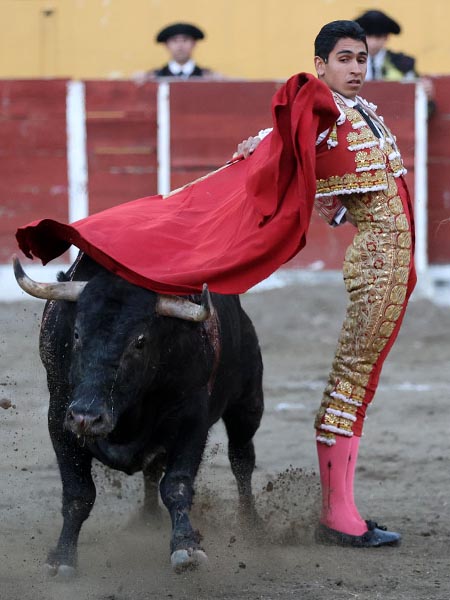 Valiente matador