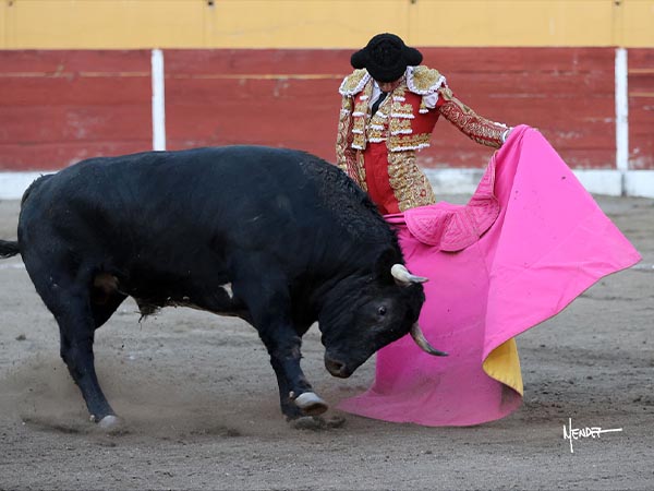 Las vernicas de Hctor