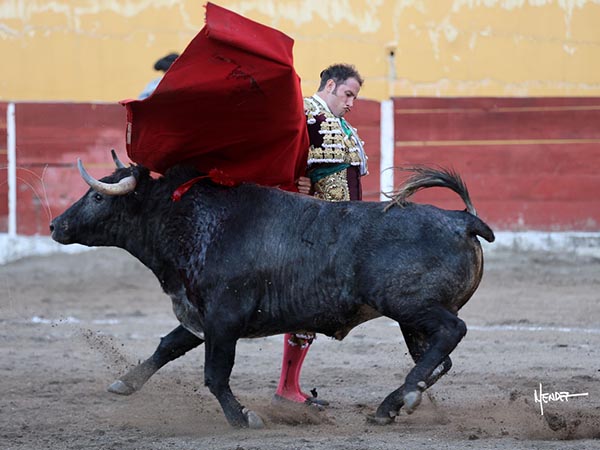 Eplogo de bernadinas