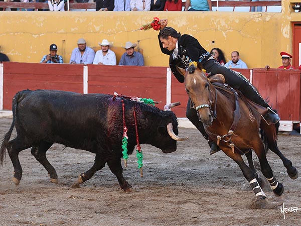 Una rosa de Emiliano