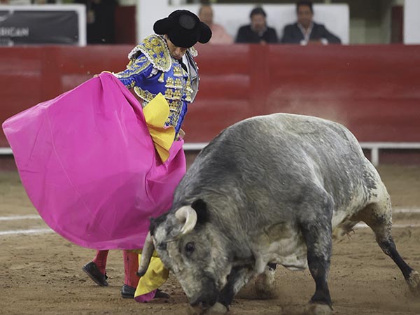 Las vernicas de Calita