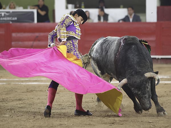 Siguiendo los vuelos