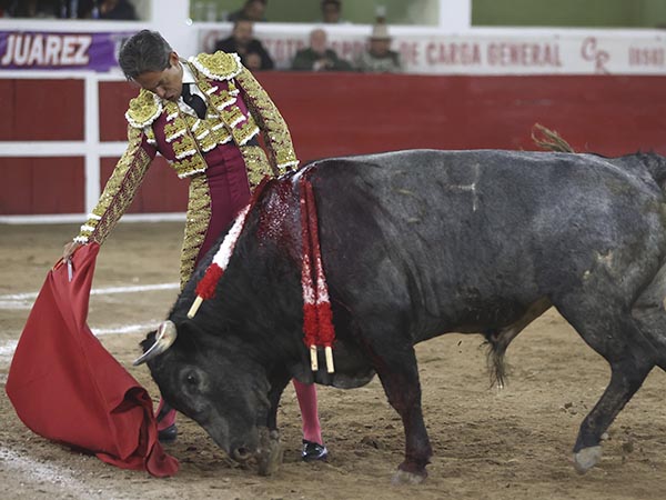 Relajado en la faena