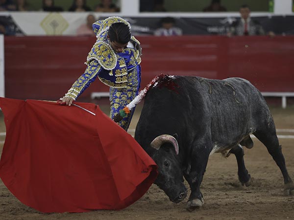 Tirando del ejemplar