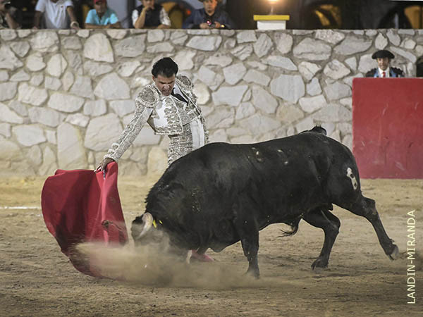 Los belfos en la arena