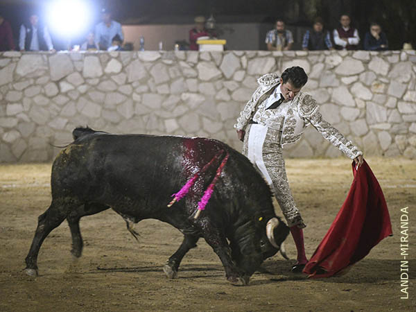 Naturales en los medios