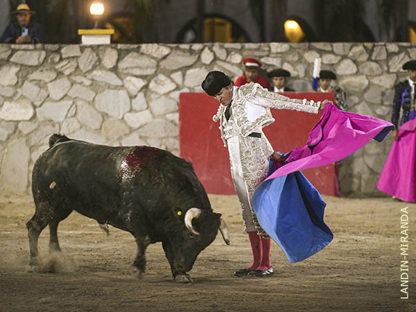 Vertical en las gaoneras