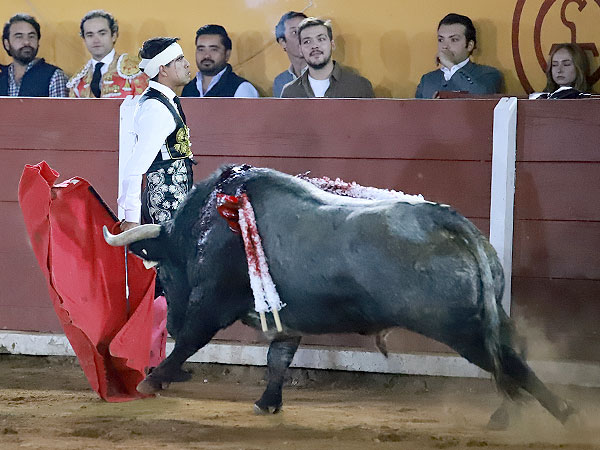 Por la espalda mirando al tendido