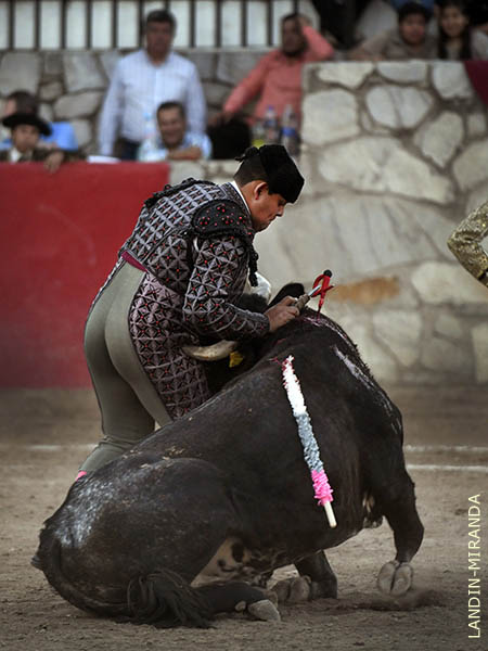Lo sinti y le tiro el hachazo