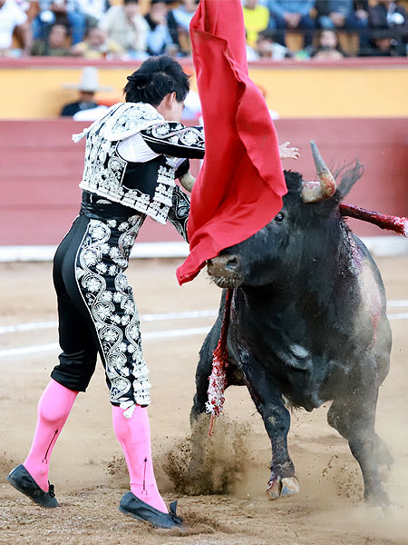 Lo engancho en la estocada