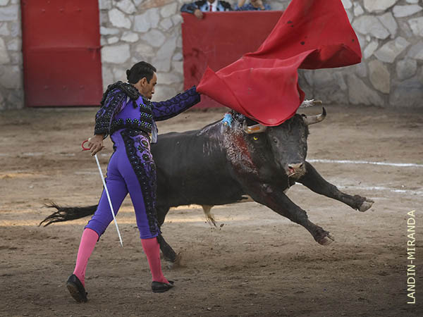 Bien toreao, bien rematao...