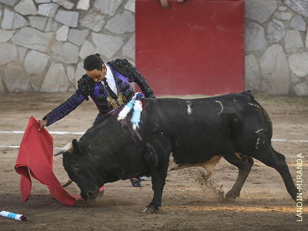 Hacindose del ejemplar