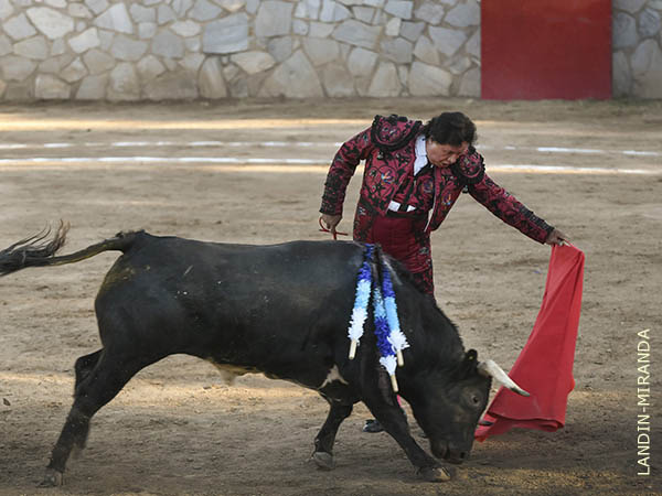 Por el pitn izquierdo