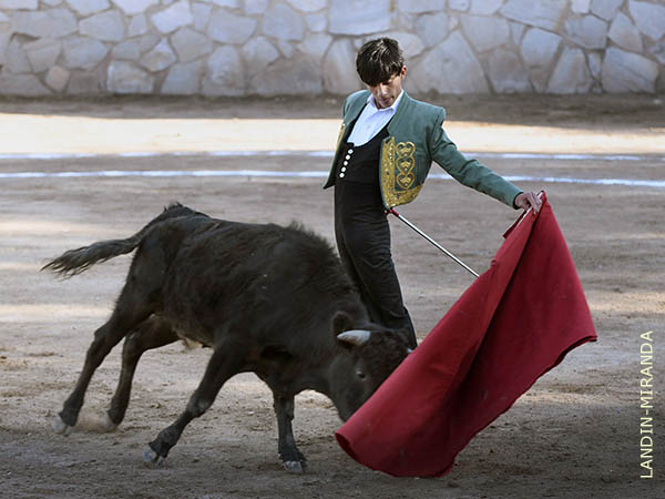 A la usanza portuguesa