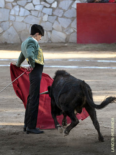 Luci por el lado zurdo