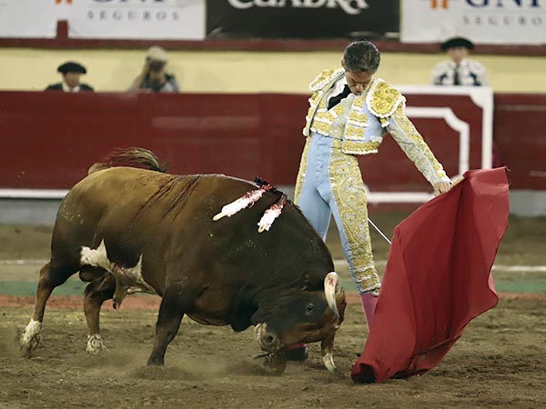 La izquierda de Diego