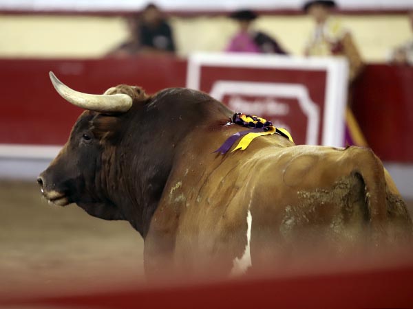 Capa tpica de la casa