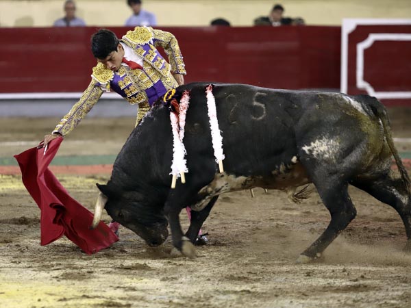 En el gusto de la aficin