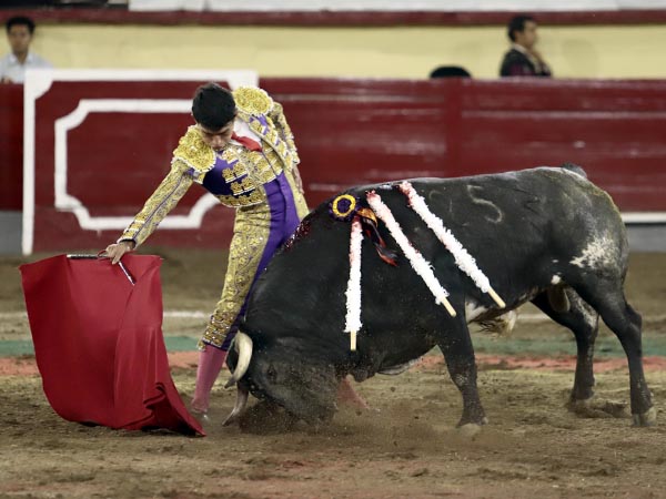 Humillado en la embestida