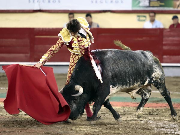 Ajustadas series por el derecho