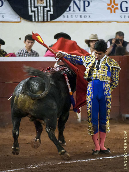 Las bernadinas en el eplogo de faena