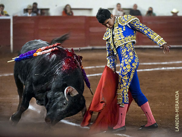 Sonoros coreos del tendido