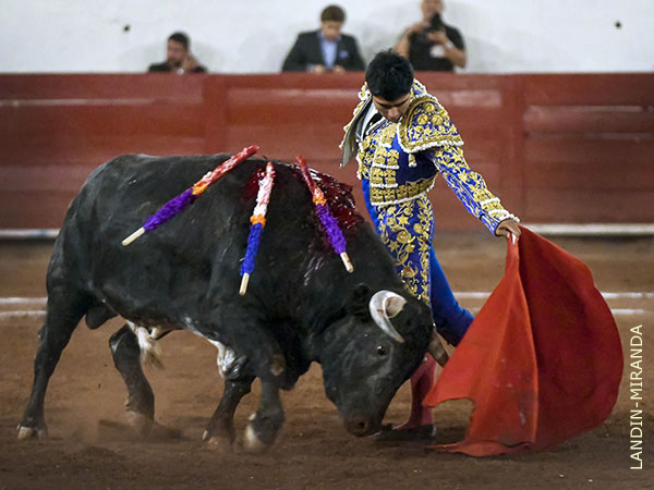 Largos naturales de Jess