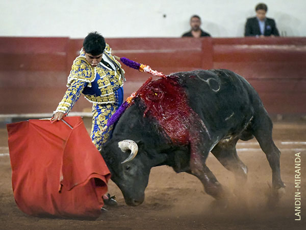 Torera en los medios