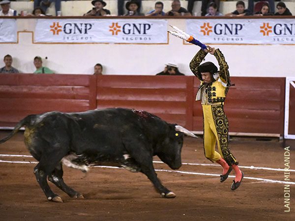 Alejandro, lucido en los pares