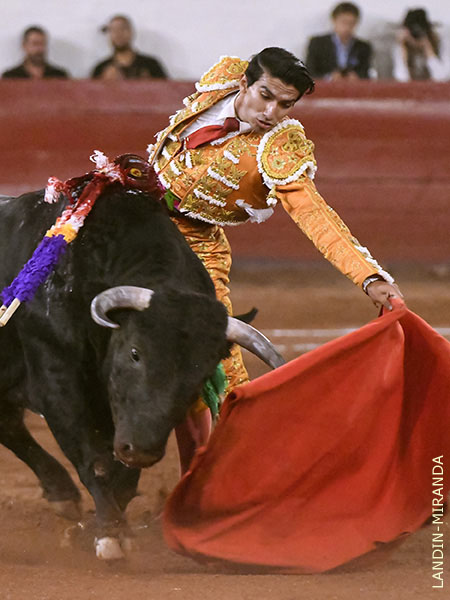 Dimensin al pase natural