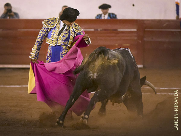 Quite por chicuelinas