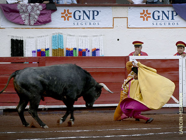 Csar abre la novillada