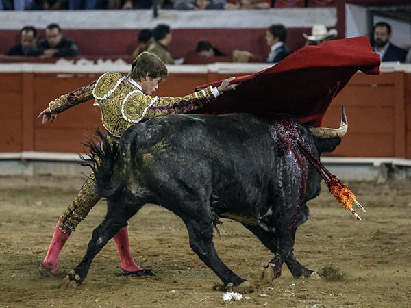 Largo remate de pecho