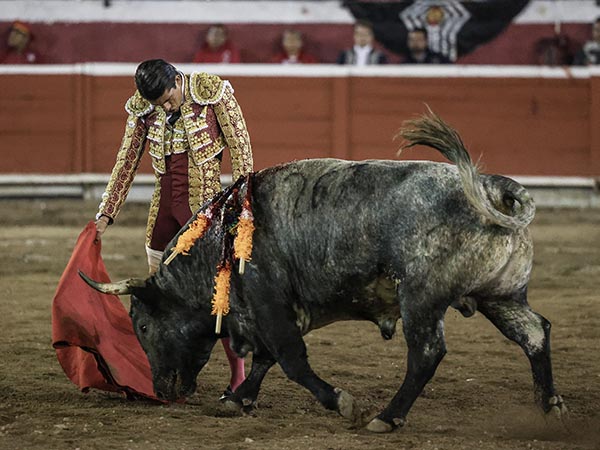 La barbilla encajada
