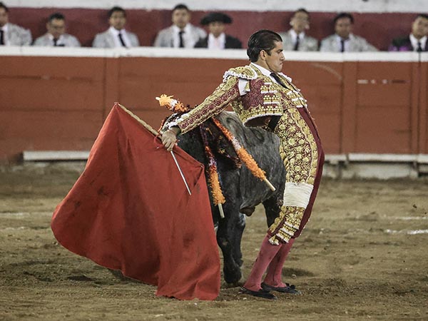 Enormes deseos de agradar