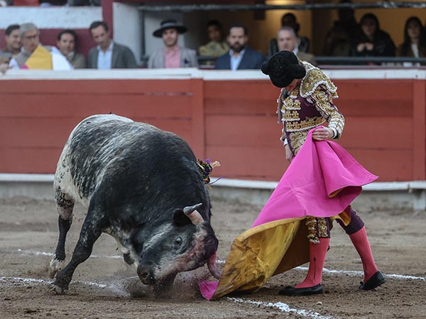 Vernicas en el tercio