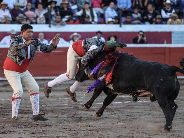 Espectaculares en la pega