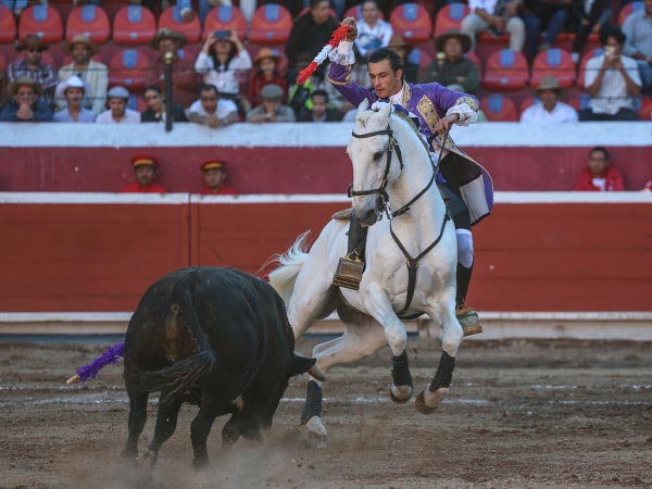 Valientes, jaca y caballista