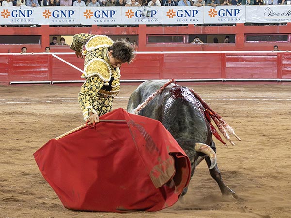 Su sitio en Monterrey