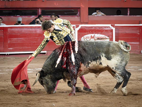 Dos faenas de gran calado