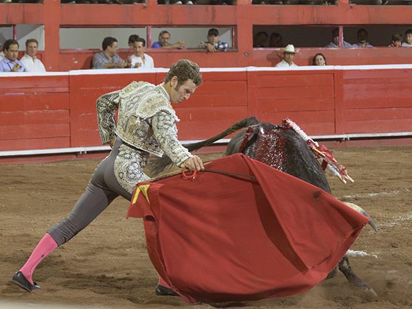 Hacindose del ejemplar