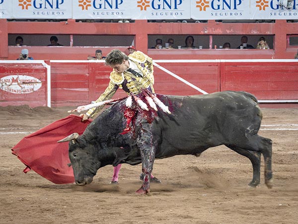 Series largas de Andrs