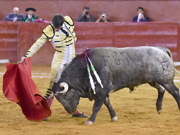 Toro bajo y reunido, que le pidi el carn