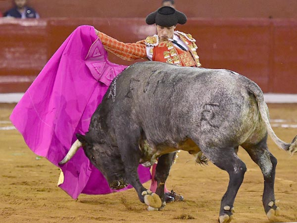 El quite de Mendoza, el sobresaliente