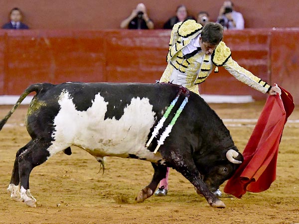 Tono y estructura en la faena