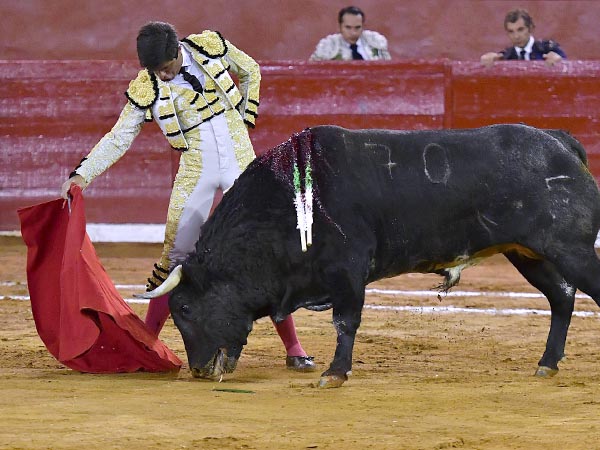 Sus toros le exigieron que se rompiera