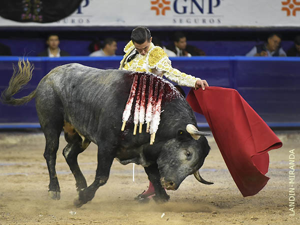 Naturales tersos, largos y templados