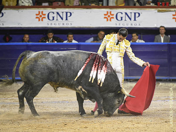 Empaque torero